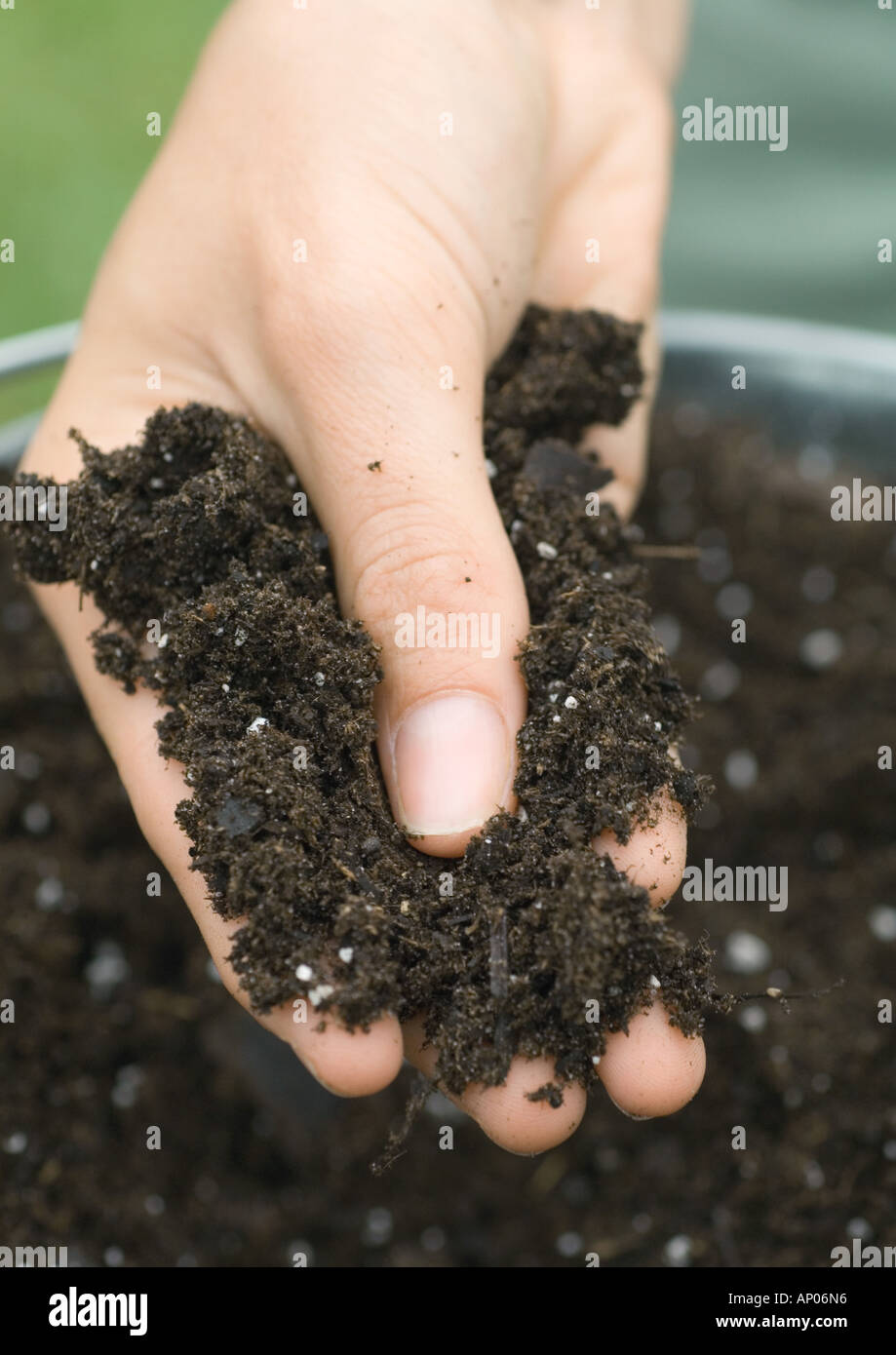Hand holding potting soil Stock Photo Alamy