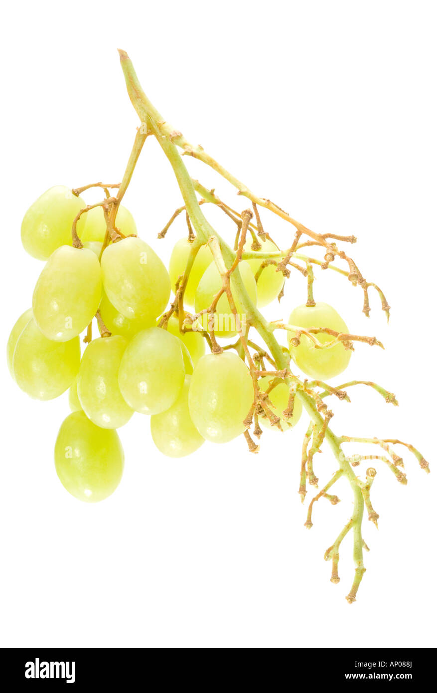 Half eaten white seedless grapes Stock Photo