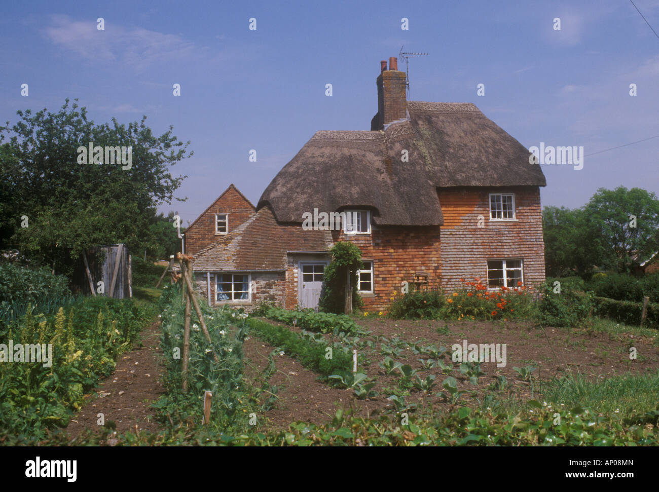 East Lulworth, Dorset, UK Period thatched country cottage set in traditional vegetable garden Stock Photo