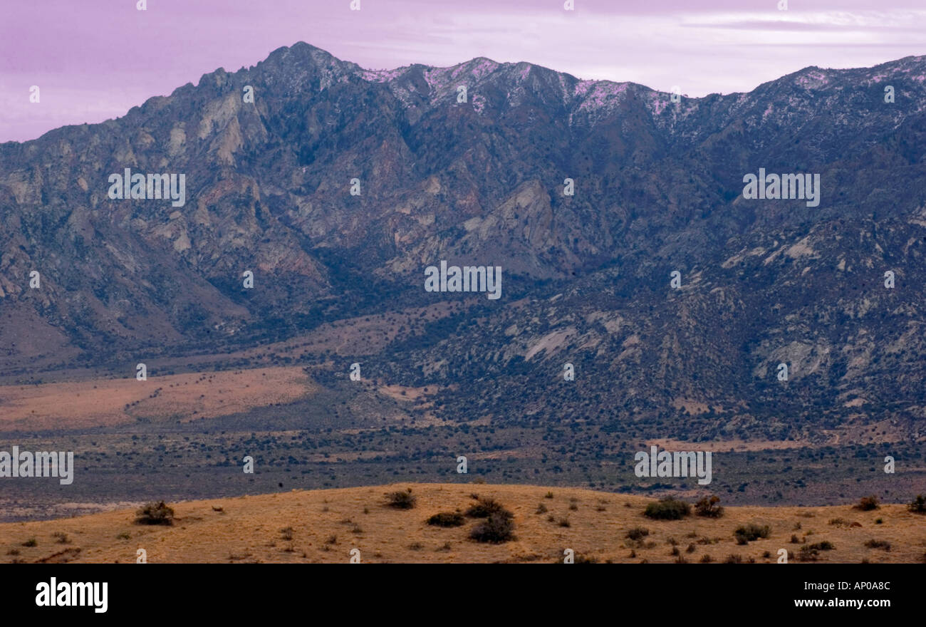 Fossil discovery big bend hires stock photography and images Alamy