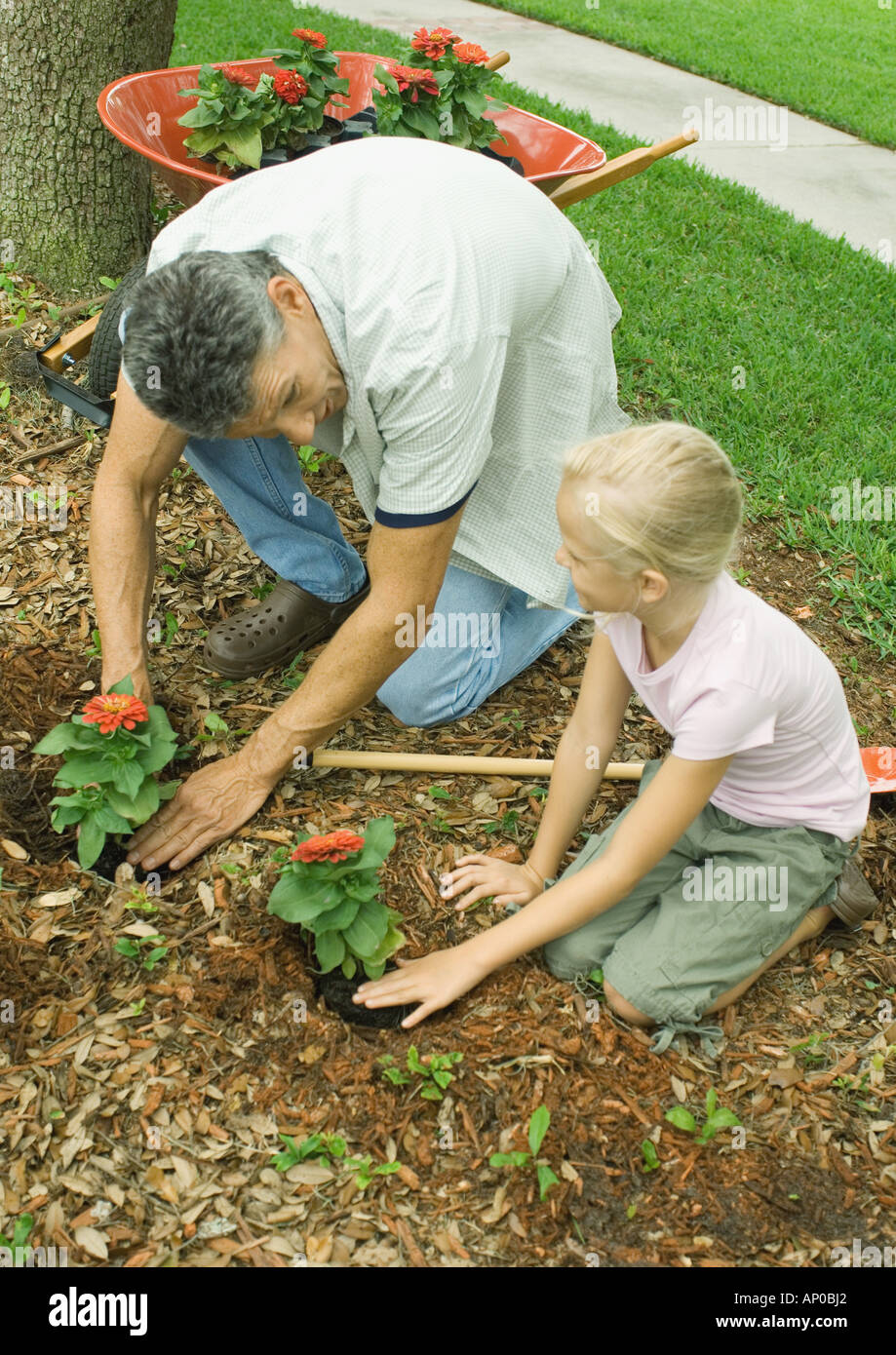 Man and girl planting flowers in yard together Stock Photo