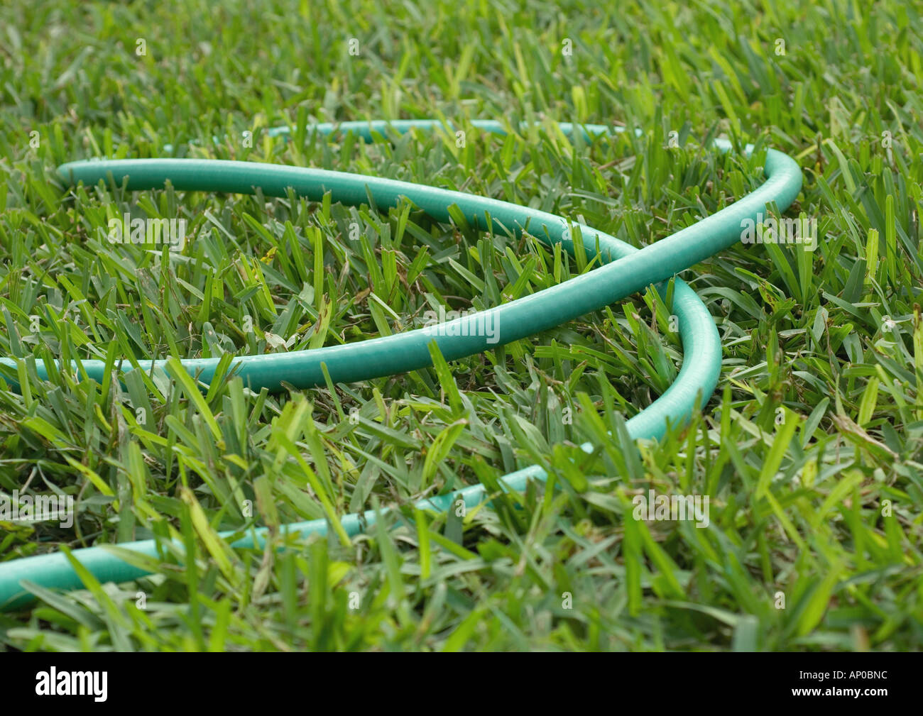 Garden hose lying in grass Stock Photo
