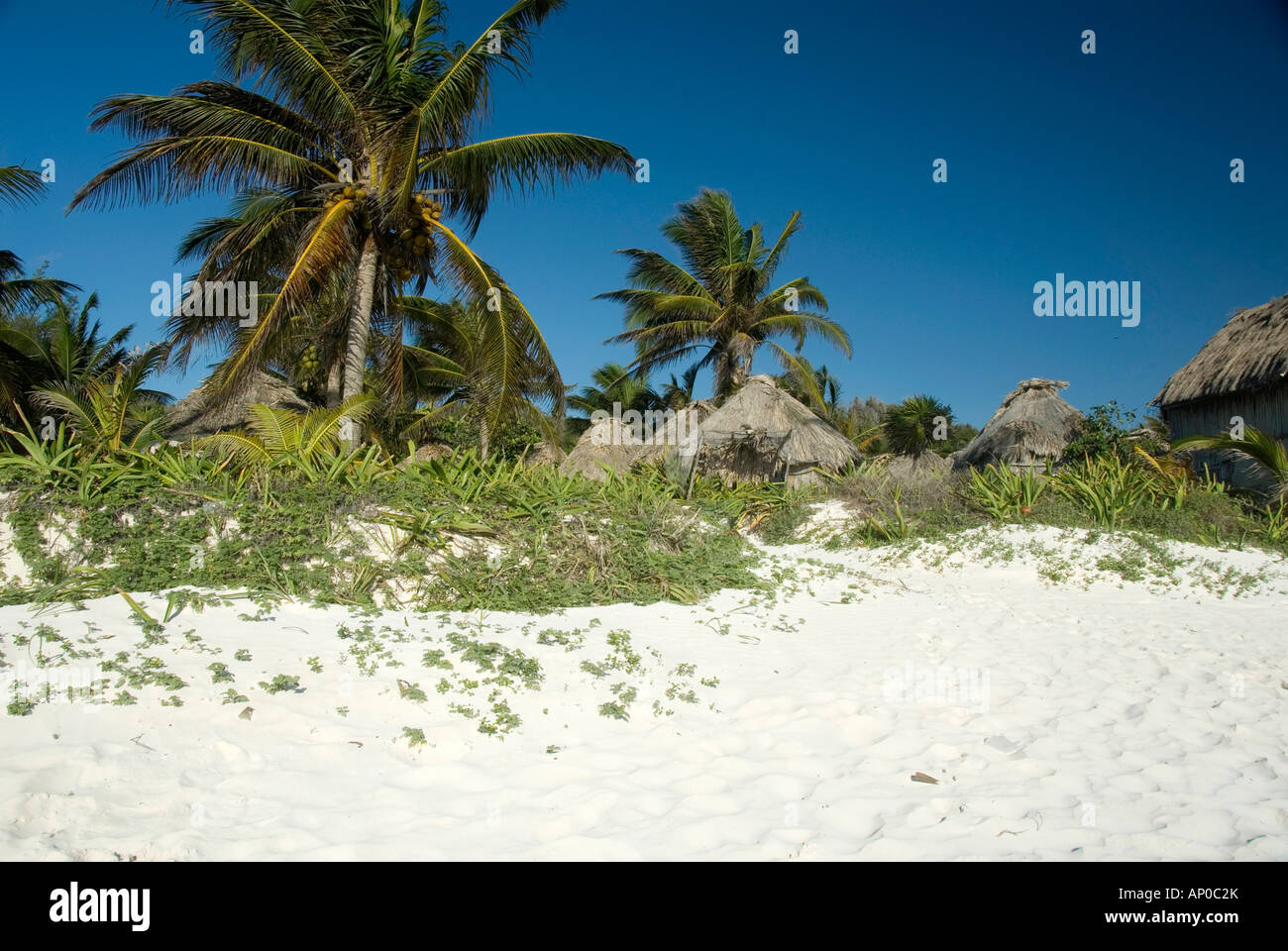 Sunny vacations at the beach hi-res stock photography and images - Alamy