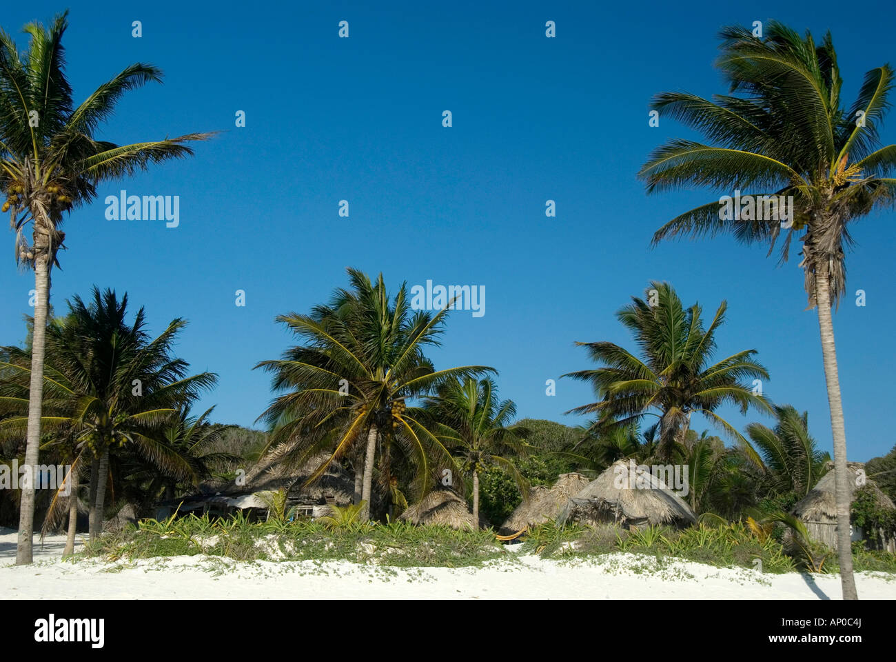 Tropical vacations hi-res stock photography and images - Alamy