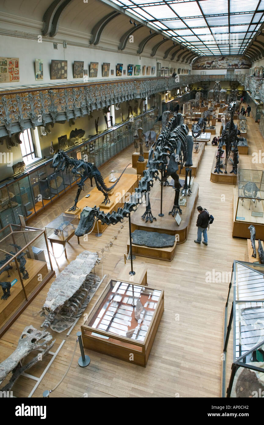 Europe, France, Paris, Austerlitz Museum of Comparative Anatomy