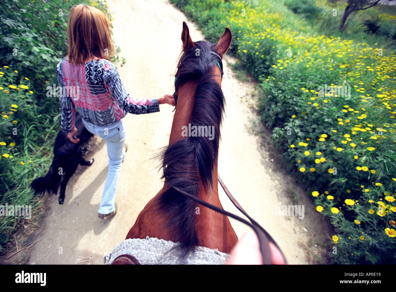Horse riding in the countryside in Cyprus Stock Photo Alamy