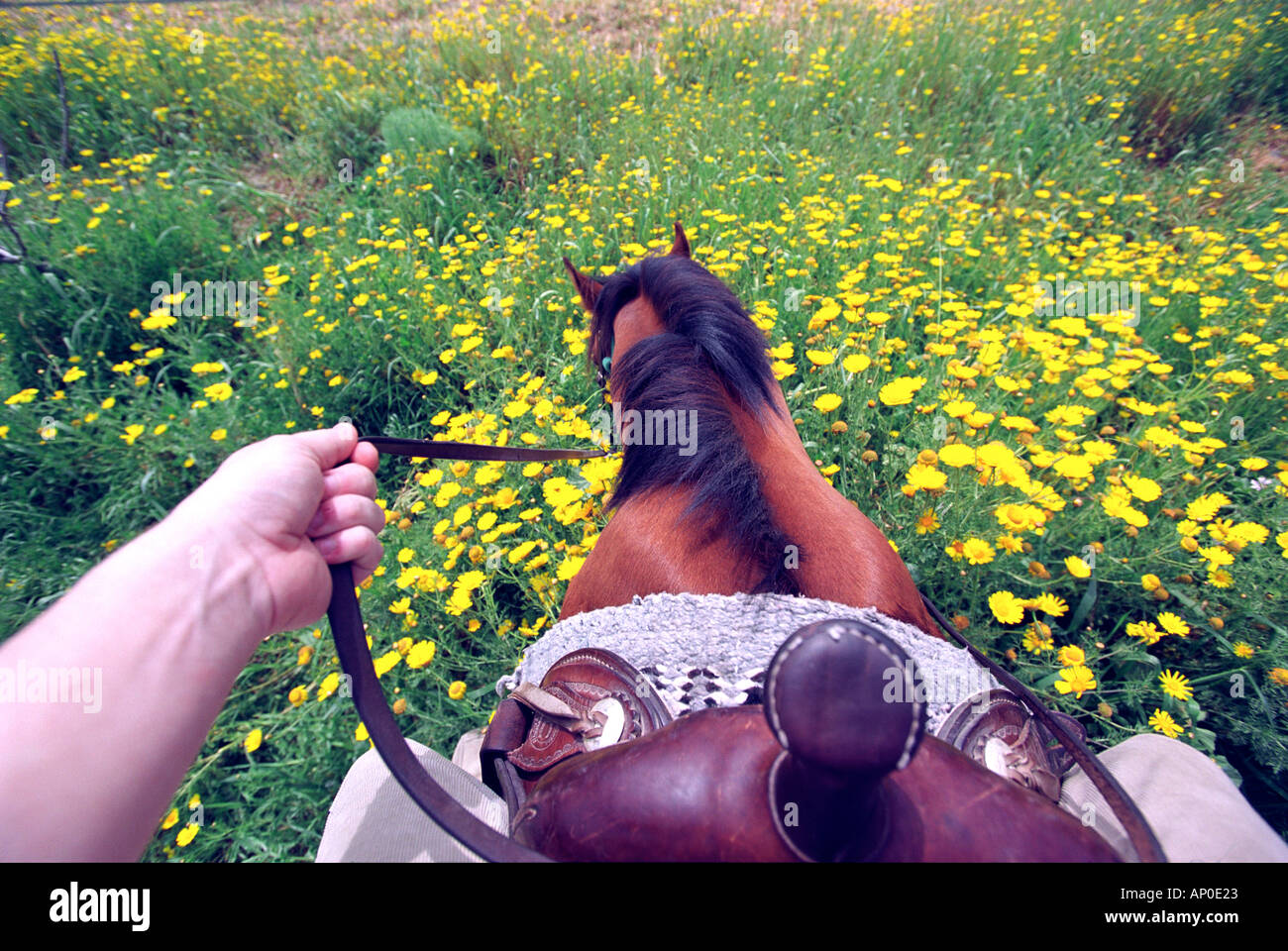 Horse riding in the countryside in Cyprus Stock Photo Alamy