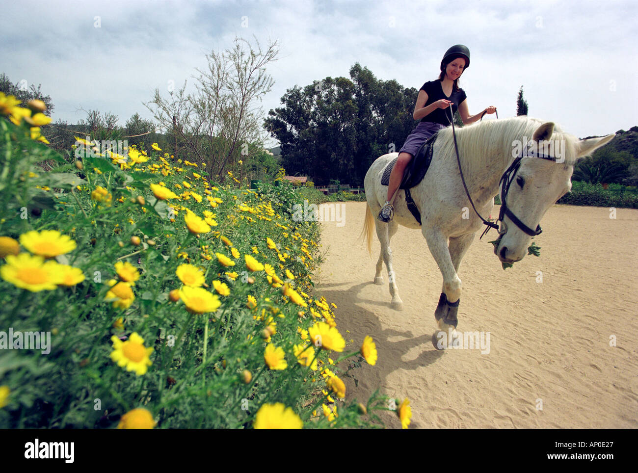 Horse riding in the countryside in Cyprus Stock Photo Alamy