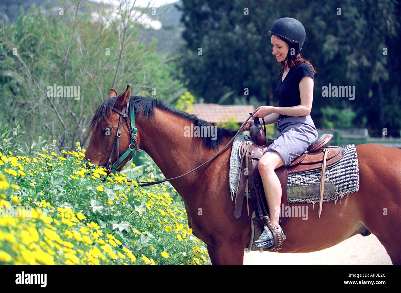 Horse riding in the countryside in Cyprus Stock Photo Alamy