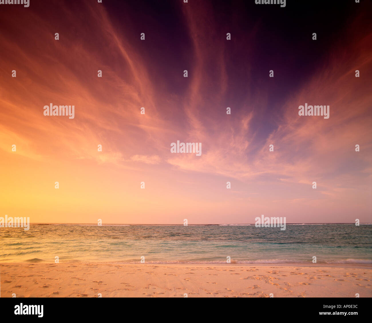 A golden sunset Stock Photo