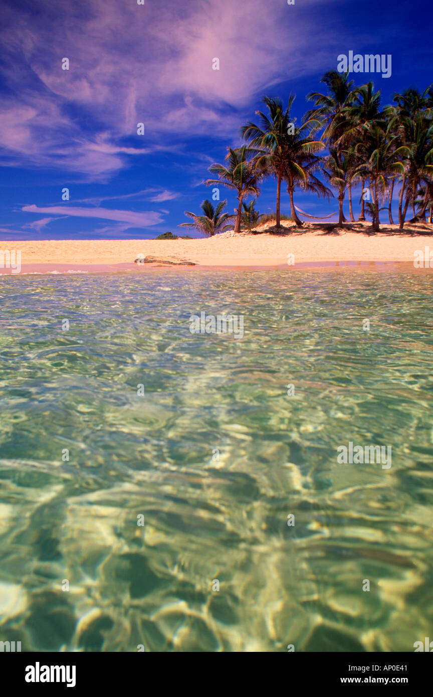 Clear aqua blue waters lap at the shore of a tropical beach on a small island with palm trees in the Bahamas Stock Photo