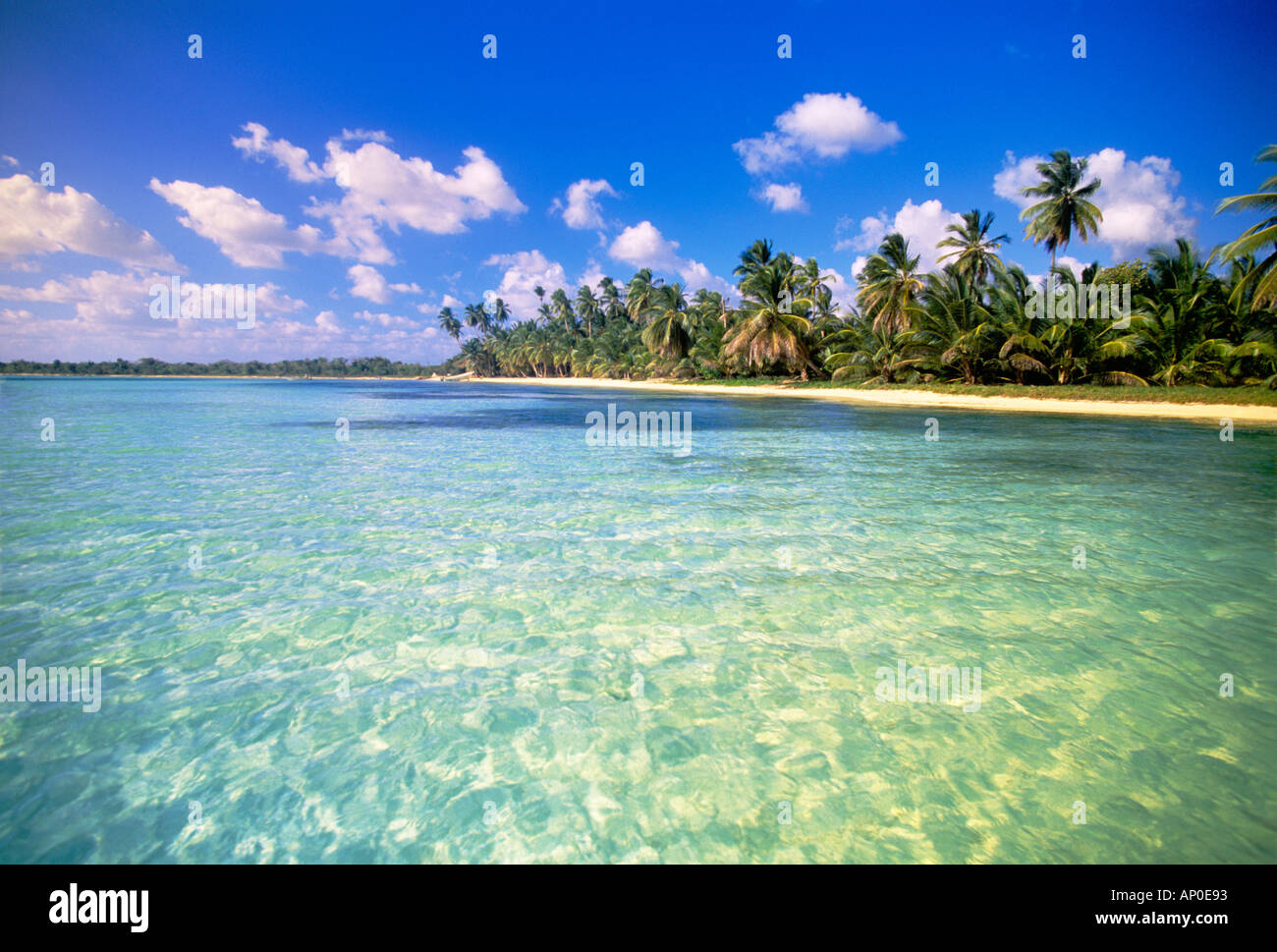 Beautiful water with a nice white sand beach and Palm Trees in the Dominican Republic Stock Photo