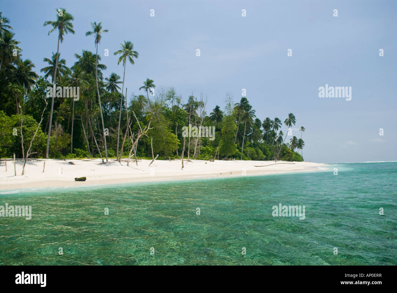 Pulau Pittojat Mentawai Islands Indonesia Stock Photo - Alamy
