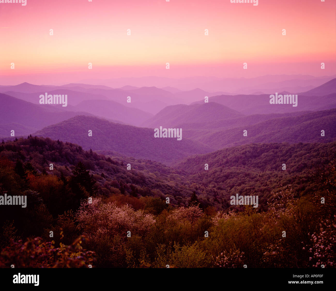 My Image 31