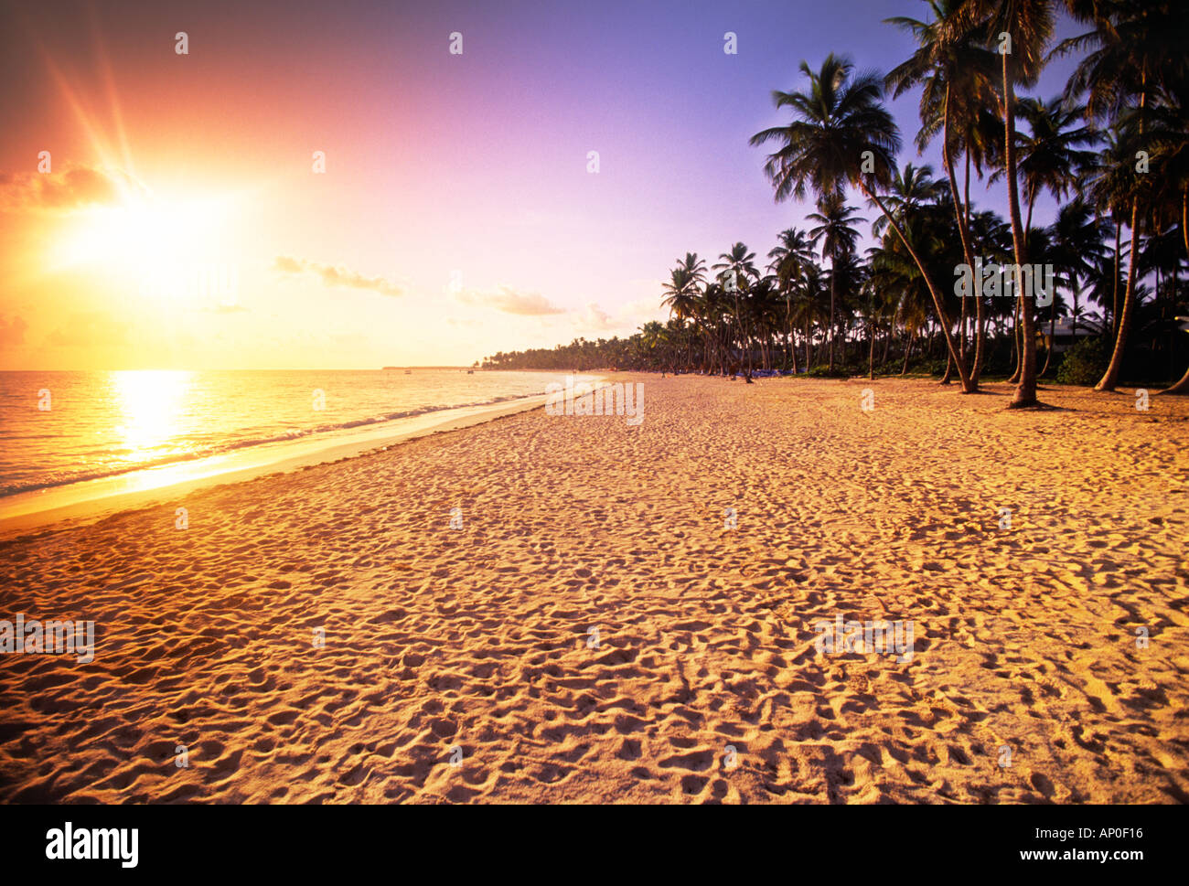 Sunrise on a tropical beach Punta Cana Dominican Republic Stock Photo