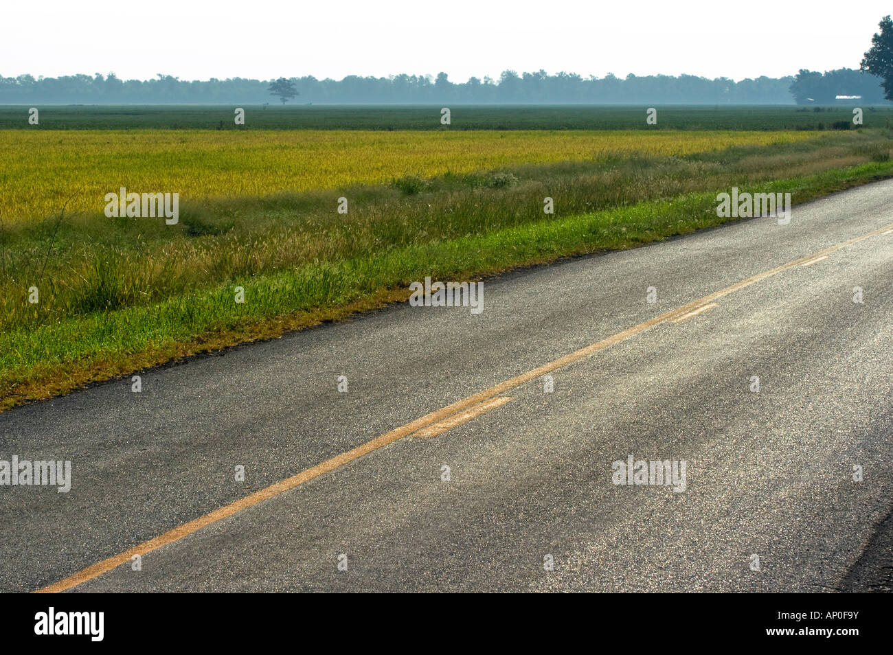 Rural highway through farmland in Walnut Ridge Arkansas Stock Photo Alamy