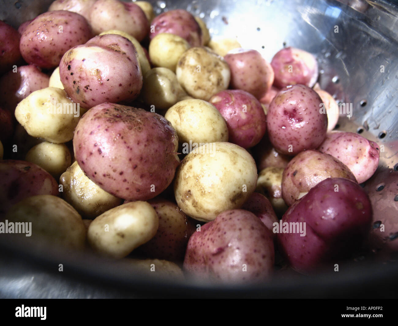 mixed baby potatoes in a colander Stock Photo Alamy