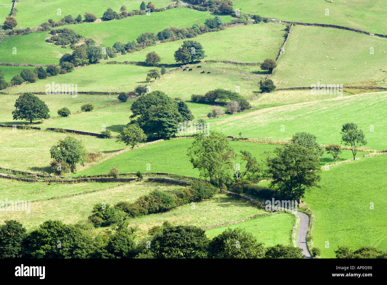Farmland seperated by dry stone walls in Great Fryupdale, North York Moors National Park, UK Stock Photo