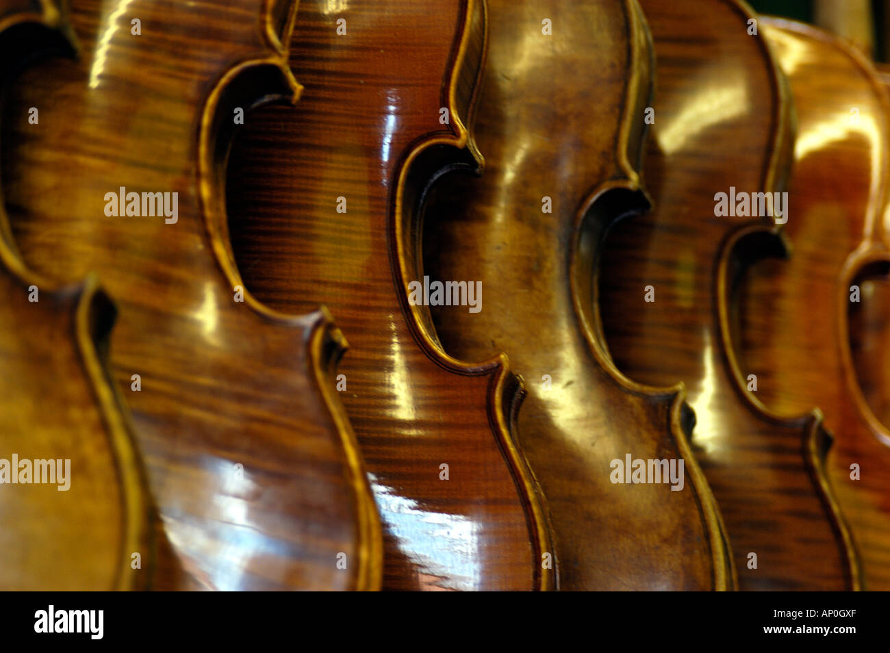 Many violins hi-res stock photography and images - Alamy