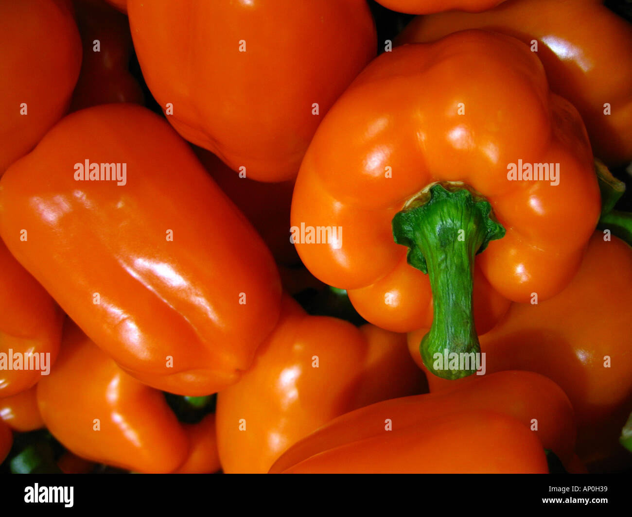 Tight shot of orange peppers Stock Photo
