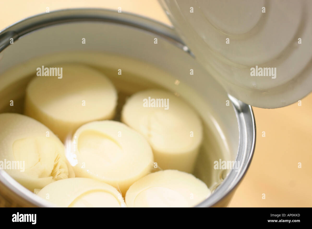 canned heart of palm Stock Photo Alamy