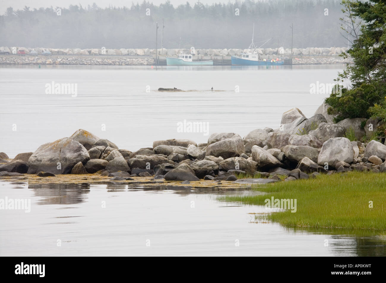 Port Mouton Nova Scotia Canada Stock Photo Alamy