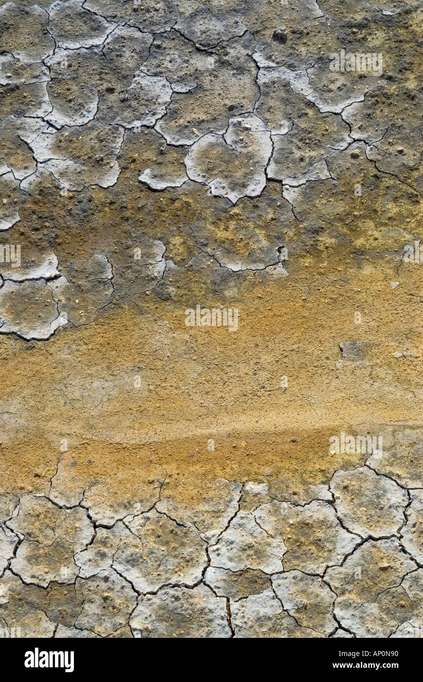 Mud Repeat Pattern Mud pattern geothermal area NE Iceland Stock Photo - Alamy
