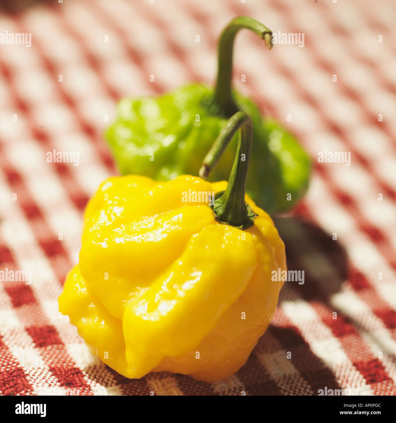 hot peppers scotch bonnet habenero Stock Photo