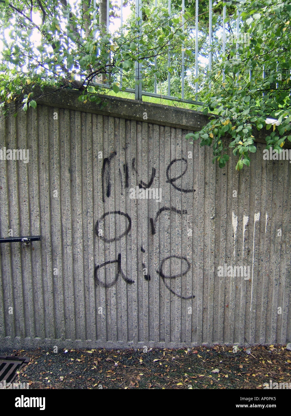 live or die sentence graffiti on wall Stock Photo Alamy