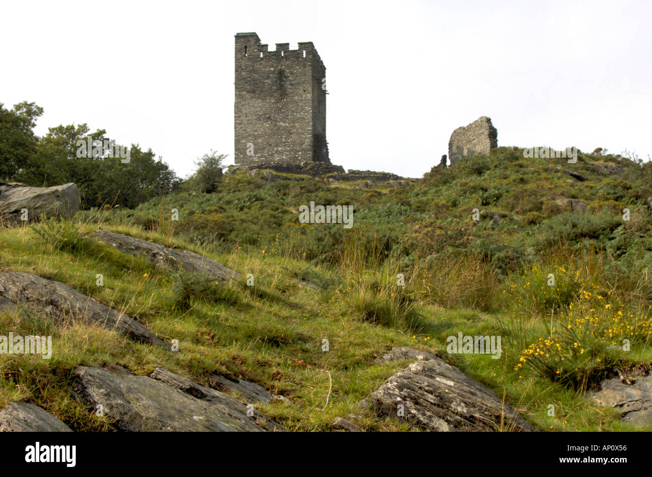 Dolwyddelan Castle Snowdonia North Wales Stock Photo