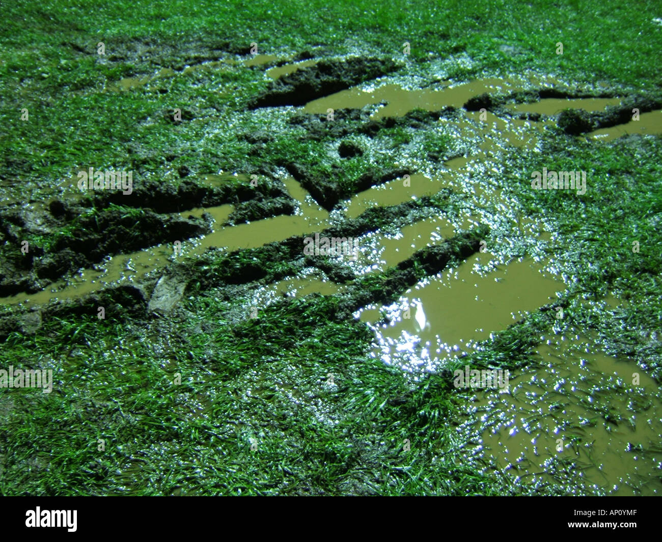 tyre tracks in wet rain soaked muddy field Stock Photo Alamy