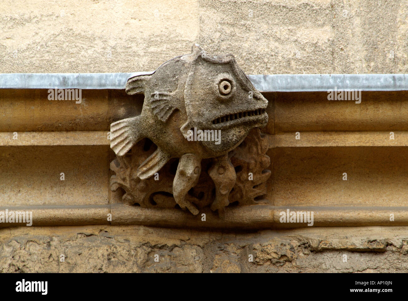 fish gargoyle close up Oxford university town stone carving distorted cartoon effigy head caricature UK United Kingdom England E Stock Photo