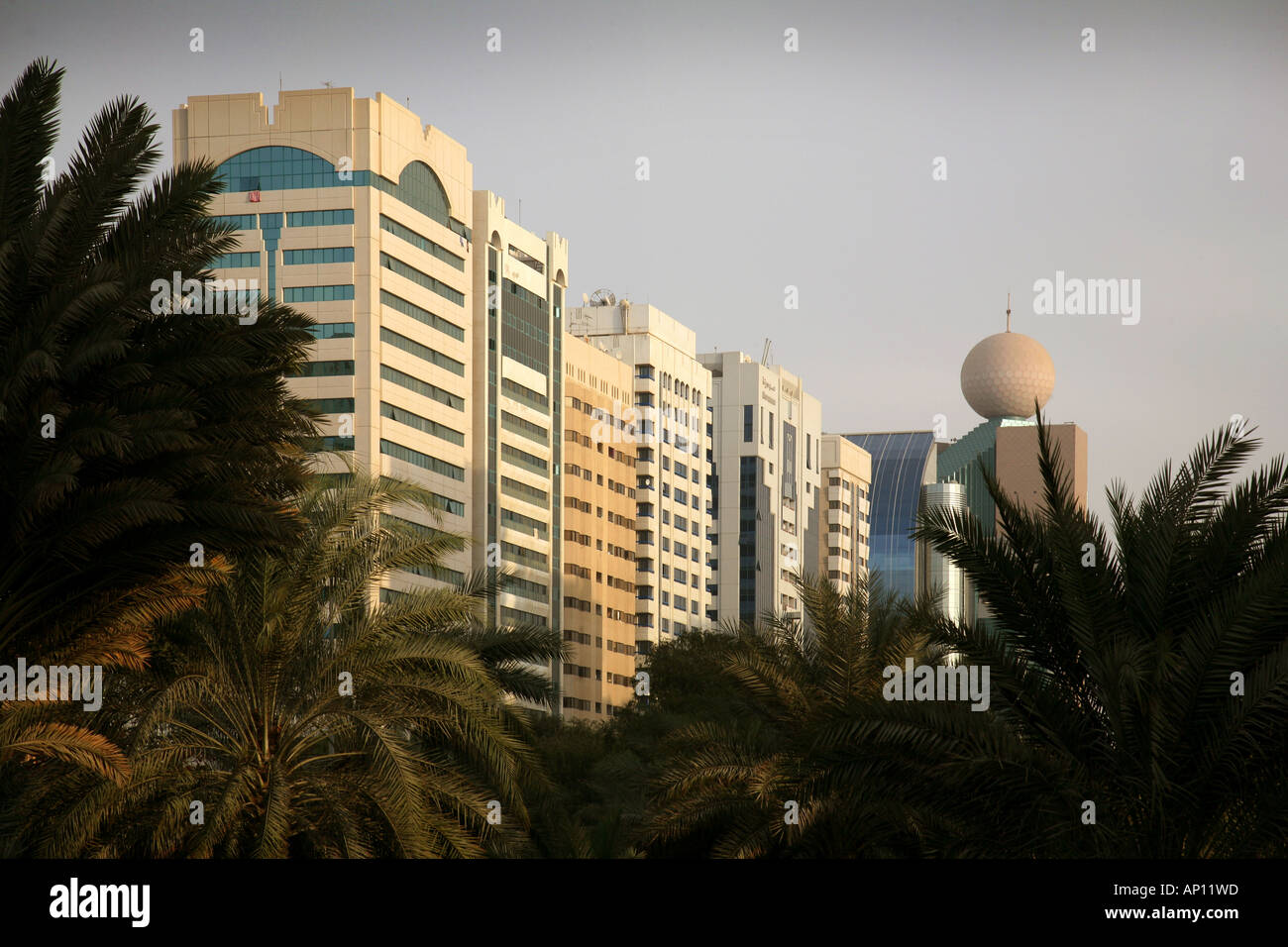 Modern skyscrapers and palm trees, Abu Dhabi city, United Arab Emirates Stock Photo