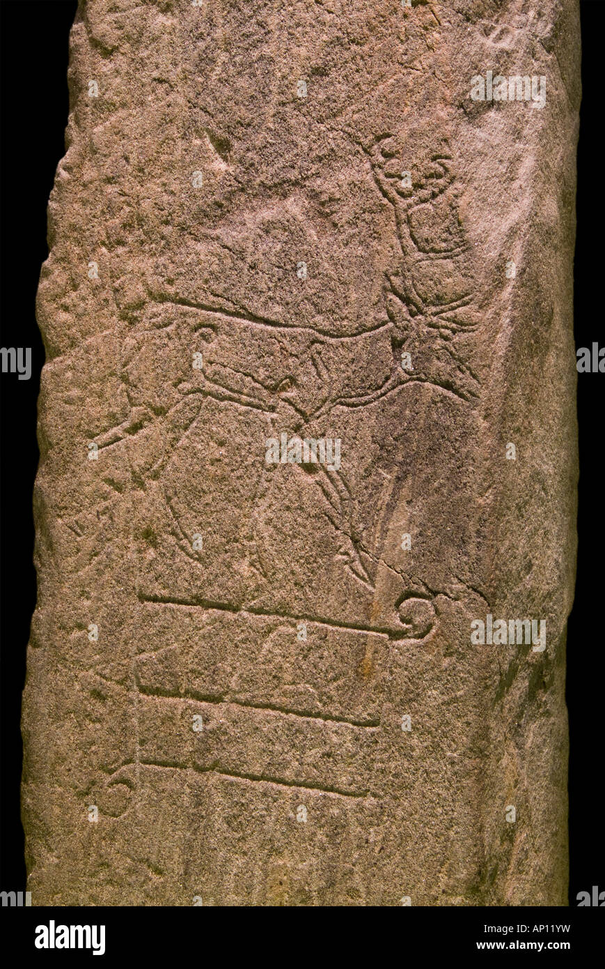 grantown on spey ad 700 red deer stone carving Stock Photo
