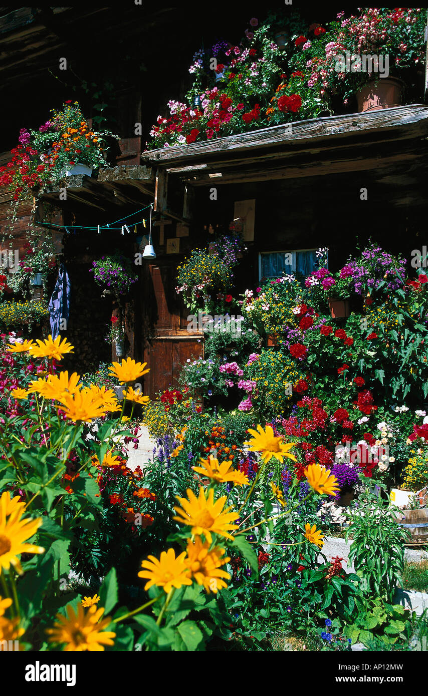 Flower Garden, Flower garden, Valais, Switzerland Stock Photo