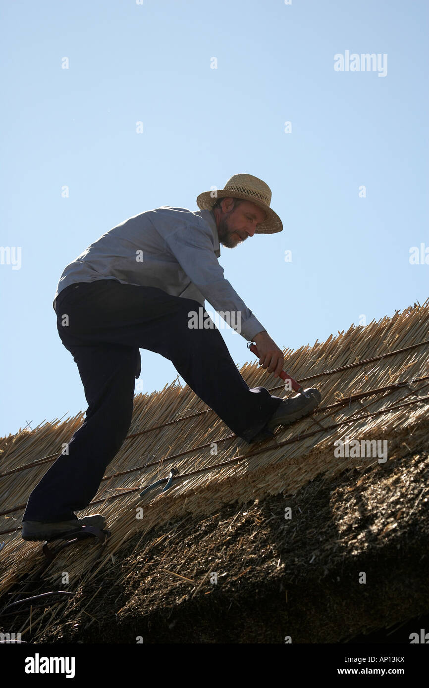 Thatcher working on rooftop in Ballinrobe Republic of Ireland Stock Photo