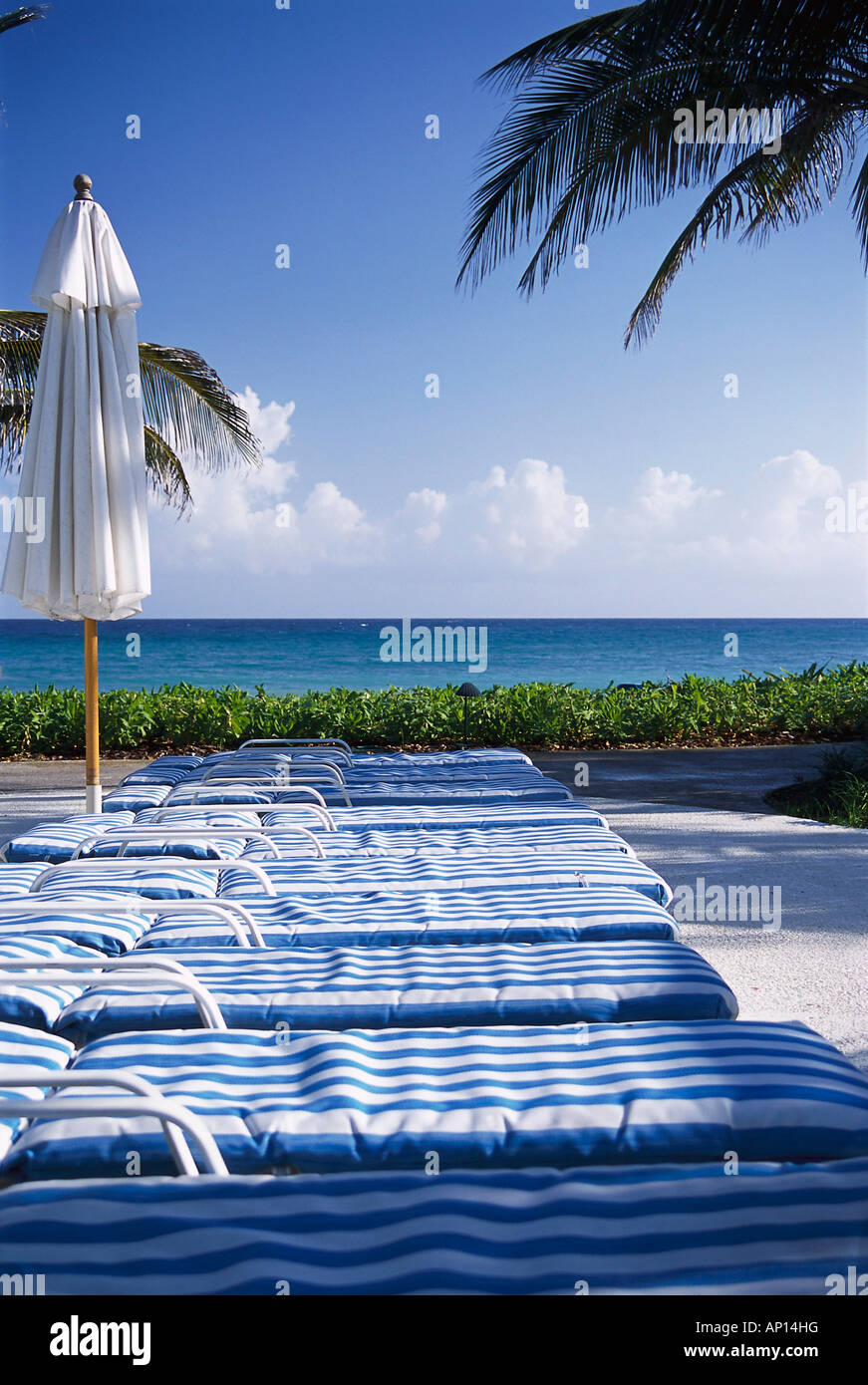 Deck chairs, Ritz Charlton Rose Hall, Montego Bay, Jamaica, Caribbean Stock Photo