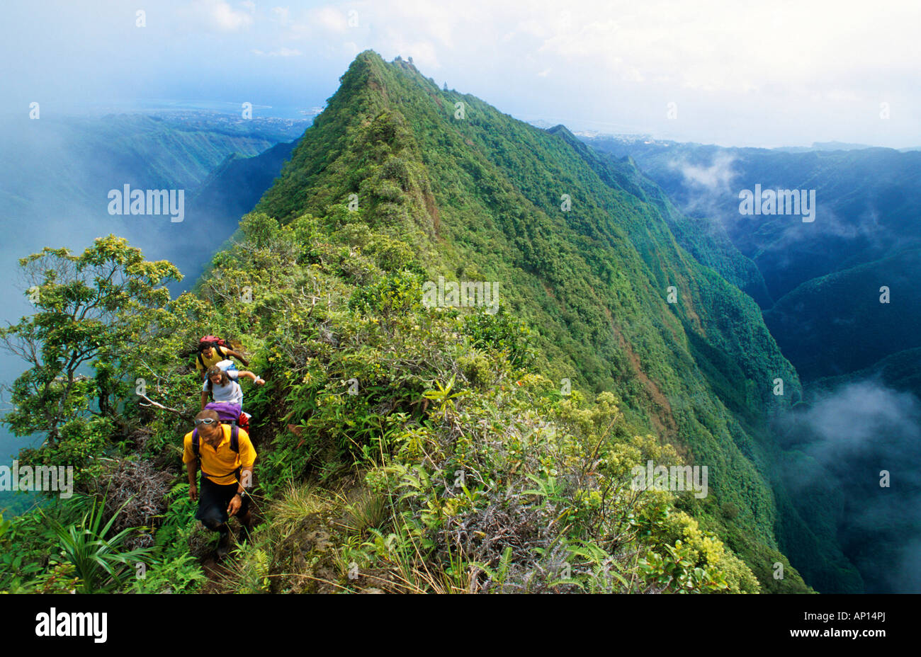 Hiking, Mt Aroai, Tahiti, Windward Islands, French Polynesia, South