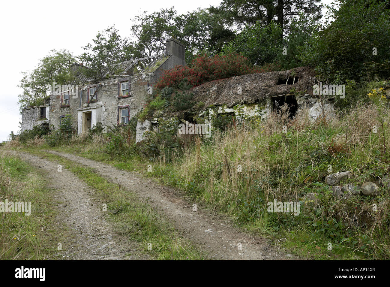 Abandoned derelict thatched cottage and farm house near Killybegs Donegal Ireland Stock Photo