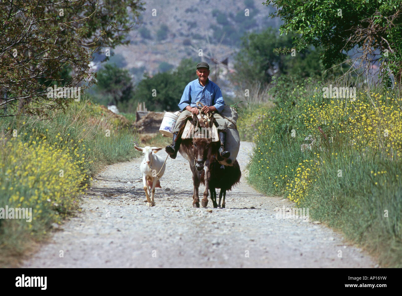 Farmer on donkey, Lassithi-Plateau, Crete, Greece Stock Photo - Alamy