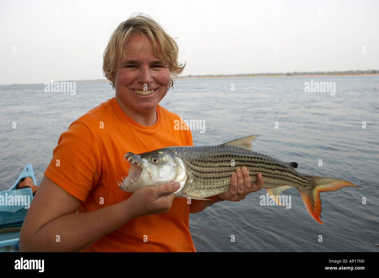 Female angler with a tigerfish Hydrocynus vittatus caught on the Lower Zambezi River Zambia Zimbabwe Africa Stock Photo