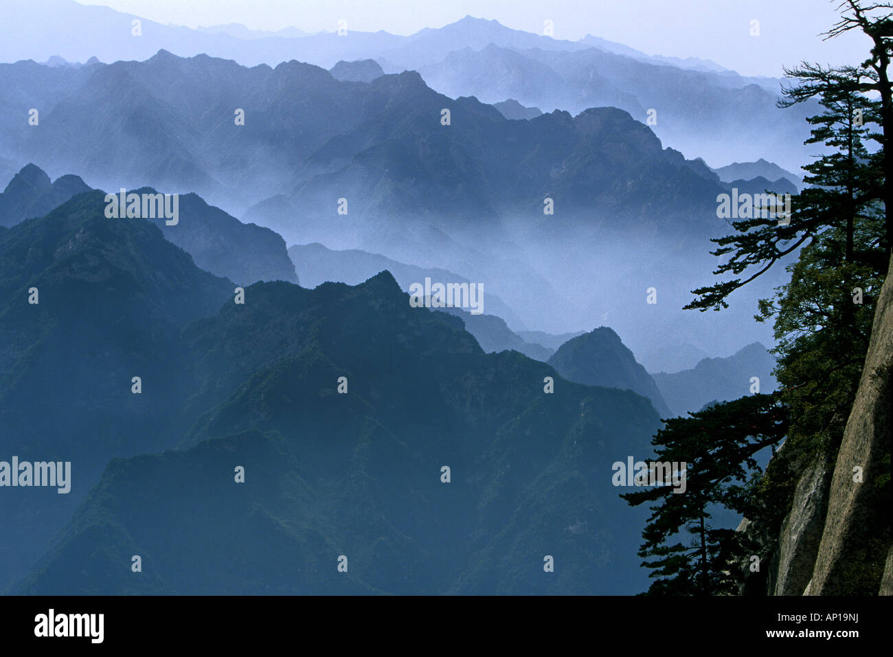 cliffs at south Peak, pine trees, mountain scenery, Hua Shan, Shaanxi province, Taoist mountain, China, Asia Stock Photo