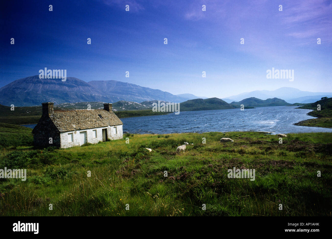 A farmhouse on the shore of Loch More, Sutherland, Scotland, Great Britain Stock Photo