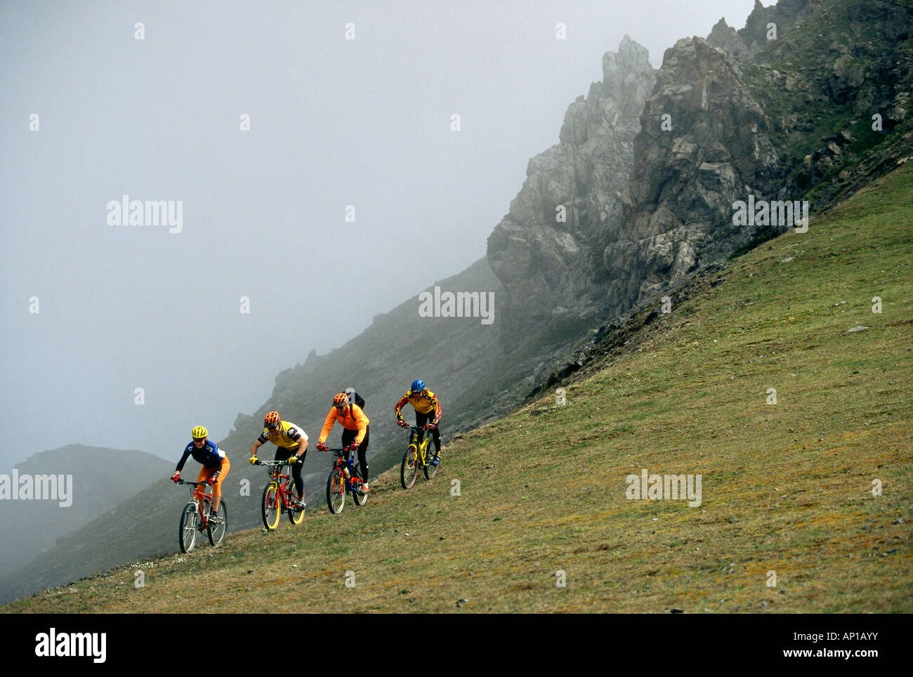 Four people on a mountainbike tour, Arosa, Grisons, Schwitzerland, Europe Stock Photo