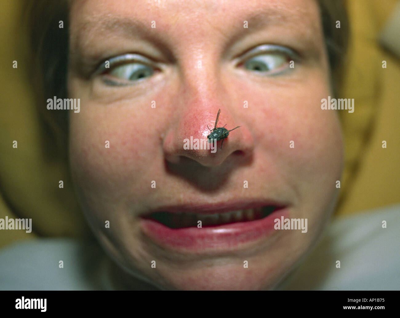 frightened face with a fly on the nose Stock Photo - Alamy