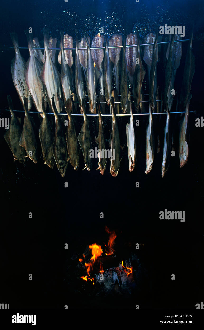 Fish smoking chamber, mecklenburgWestern Pomerania, Germany Stock