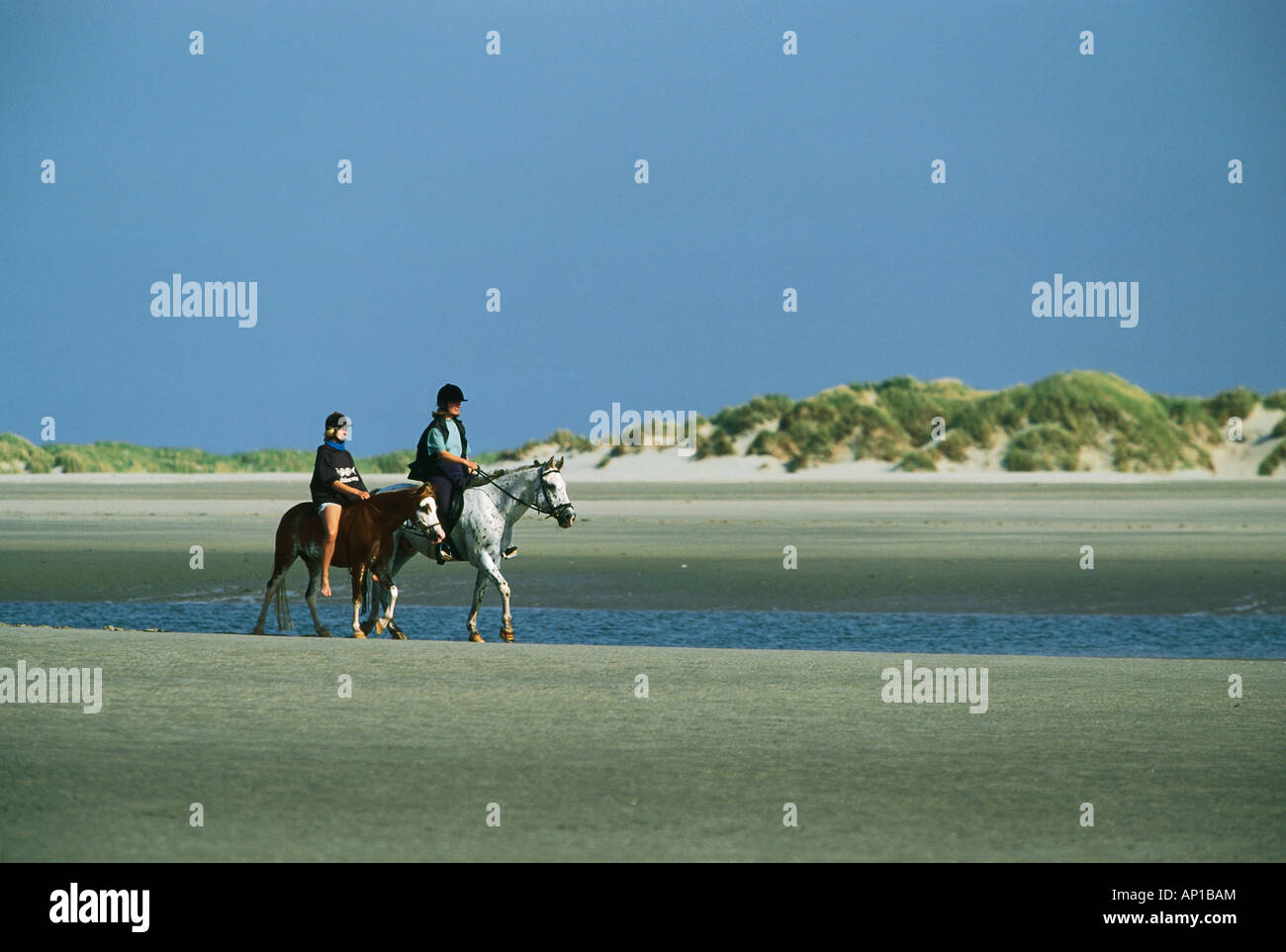 Riding on horses on the beach, Norderney Island, Germany Stock Photo