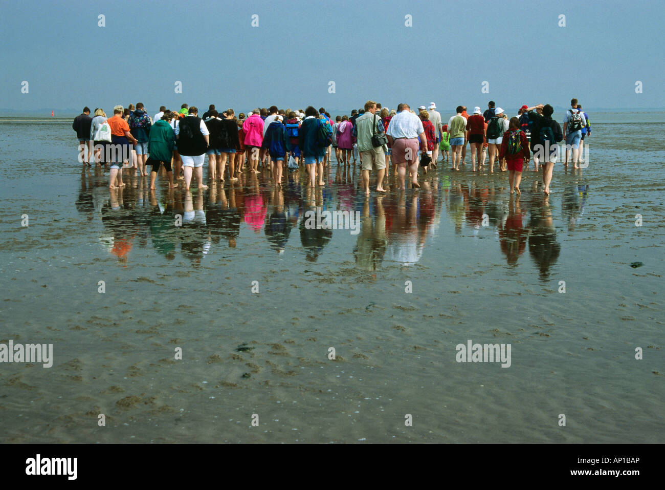Hiking in the mudflat, Norderney Island, Germany Stock Photo