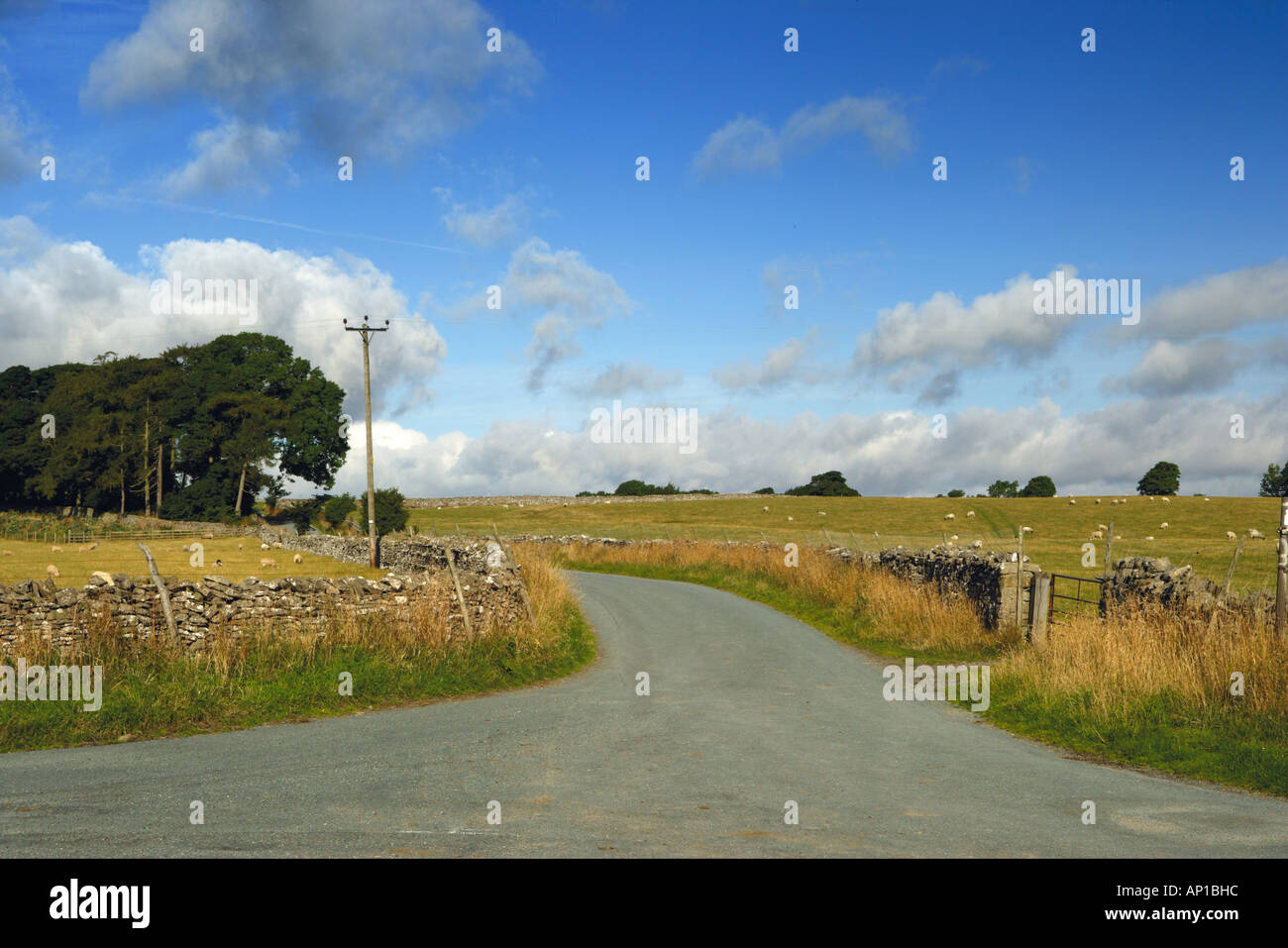Junction On Country Road In Yorkshire Dales UK Stock Photo - Alamy
