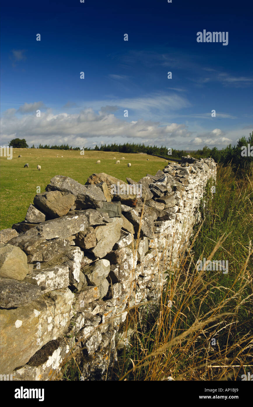 Dry Stone Wall Yorkshire Dales National Park Stock Photo